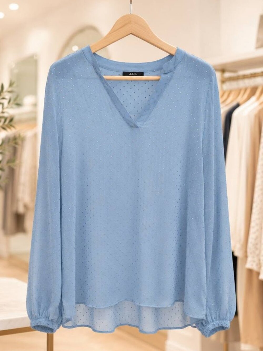 Baby Blue Long Sleeve Sheer Shirt XLT Embellished